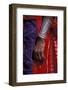 Asia, India, Bikaner. Clothing and silver bracelet detail.-Judith Haden-Framed Photographic Print