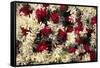 Asia, India, Calcutta. Floral garlands from the flower market in Calcutta.-Kymri Wilt-Framed Stretched Canvas