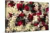 Asia, India, Calcutta. Floral garlands from the flower market in Calcutta.-Kymri Wilt-Stretched Canvas