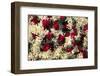 Asia, India, Calcutta. Floral garlands from the flower market in Calcutta.-Kymri Wilt-Framed Photographic Print