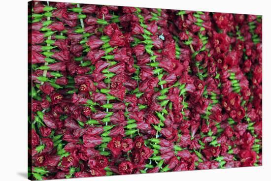 Asia, India, Calcutta. Hibiscus garlands in the flower market in Calcutta.-Kymri Wilt-Stretched Canvas