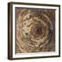 Asia. India, Ceiling details at the Qtub Minar of the Alai-Darwaza complex in New Delhi.-Ralph H. Bendjebar-Framed Photographic Print