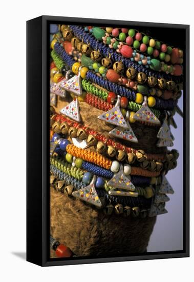 Asia, India, Pushkar. Camels necklaces, Pushkar Camel Festival.-Claudia Adams-Framed Stretched Canvas