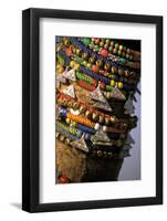 Asia, India, Pushkar. Camels necklaces, Pushkar Camel Festival.-Claudia Adams-Framed Photographic Print