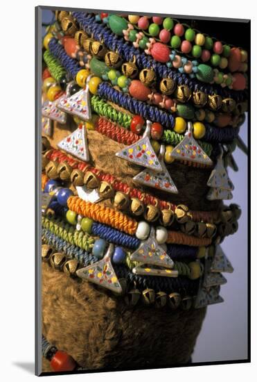 Asia, India, Pushkar. Camels necklaces, Pushkar Camel Festival.-Claudia Adams-Mounted Photographic Print