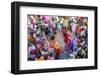 Asia, India, Uttar Pradesh, Nandgaon, Dancing During Holi Festival-ClickAlps-Framed Photographic Print