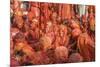 Asia, India, Uttar Pradesh, Nandgaon, Holi Festival of Colors-ClickAlps-Mounted Photographic Print