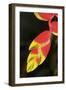 Asia, Indonesia. Heliconia Rostrata Flower-David Slater-Framed Photographic Print