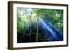 Asia, Indonesia, Sulawesi. Sunburst Lights Up a Steamy Rainforest-David Slater-Framed Photographic Print