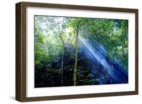 Asia, Indonesia, Sulawesi. Sunburst Lights Up a Steamy Rainforest-David Slater-Framed Photographic Print