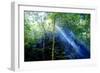 Asia, Indonesia, Sulawesi. Sunburst Lights Up a Steamy Rainforest-David Slater-Framed Photographic Print