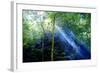 Asia, Indonesia, Sulawesi. Sunburst Lights Up a Steamy Rainforest-David Slater-Framed Photographic Print