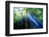 Asia, Indonesia, Sulawesi. Sunburst Lights Up a Steamy Rainforest-David Slater-Framed Photographic Print