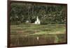 Asia, Indonesia, Sulawesi, View of Church and Field-Tony Berg-Framed Photographic Print