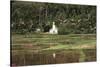 Asia, Indonesia, Sulawesi, View of Church and Field-Tony Berg-Stretched Canvas