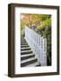 Asia, Japan, Honshu, Hiroshima Prefecture, Miyajima Island, Daisho in Temple-Christian Kober-Framed Photographic Print