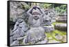 Asia, Japan, Honshu, Hiroshima Prefecture, Miyajima Island, Statues in Daisho in Temple-Christian Kober-Framed Stretched Canvas