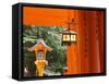 Asia, Japan, Honshu, Kansai Region, Kyoto, Fushimi-Inari Taisha Shrine-Gavin Hellier-Framed Stretched Canvas