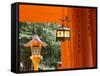 Asia, Japan, Honshu, Kansai Region, Kyoto, Fushimi-Inari Taisha Shrine-Gavin Hellier-Framed Stretched Canvas