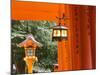 Asia, Japan, Honshu, Kansai Region, Kyoto, Fushimi-Inari Taisha Shrine-Gavin Hellier-Mounted Photographic Print