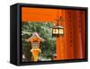 Asia, Japan, Honshu, Kansai Region, Kyoto, Fushimi-Inari Taisha Shrine-Gavin Hellier-Framed Stretched Canvas