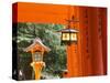 Asia, Japan, Honshu, Kansai Region, Kyoto, Fushimi-Inari Taisha Shrine-Gavin Hellier-Stretched Canvas