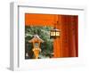 Asia, Japan, Honshu, Kansai Region, Kyoto, Fushimi-Inari Taisha Shrine-Gavin Hellier-Framed Photographic Print