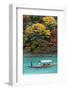 Asia, Japan, Honshu, Kyoto, Arashiyama, Autumn Colours on Kiyotaki River-Christian Kober-Framed Photographic Print