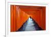 Asia, Japan, Honshu, Kyoto, Fushimi Inari Jinja; Unesco-Christian Kober-Framed Photographic Print