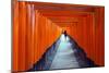 Asia, Japan, Honshu, Kyoto, Fushimi Inari Jinja; Unesco-Christian Kober-Mounted Photographic Print