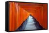 Asia, Japan, Honshu, Kyoto, Fushimi Inari Jinja; Unesco-Christian Kober-Framed Stretched Canvas