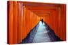 Asia, Japan, Honshu, Kyoto, Fushimi Inari Jinja; Unesco-Christian Kober-Stretched Canvas