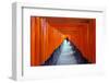 Asia, Japan, Honshu, Kyoto, Fushimi Inari Jinja; Unesco-Christian Kober-Framed Photographic Print