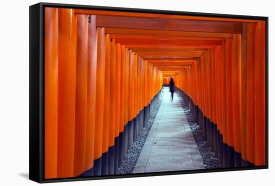 Asia, Japan, Honshu, Kyoto, Fushimi Inari Jinja; Unesco-Christian Kober-Framed Stretched Canvas