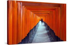 Asia, Japan, Honshu, Kyoto, Fushimi Inari Jinja; Unesco-Christian Kober-Stretched Canvas