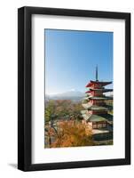 Asia, Japan, Honshu, Mt Fuji 3776M, Arakura Sengen Jinja, UNESCO World Heritage Site-Christian Kober-Framed Photographic Print