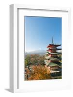 Asia, Japan, Honshu, Mt Fuji 3776M, Arakura Sengen Jinja, UNESCO World Heritage Site-Christian Kober-Framed Photographic Print