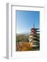 Asia, Japan, Honshu, Mt Fuji 3776M, Arakura Sengen Jinja, UNESCO World Heritage Site-Christian Kober-Framed Photographic Print