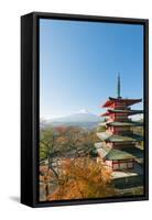 Asia, Japan, Honshu, Mt Fuji 3776M, Arakura Sengen Jinja, UNESCO World Heritage Site-Christian Kober-Framed Stretched Canvas