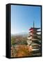 Asia, Japan, Honshu, Mt Fuji 3776M, Arakura Sengen Jinja, UNESCO World Heritage Site-Christian Kober-Framed Stretched Canvas