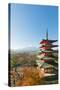 Asia, Japan, Honshu, Mt Fuji 3776M, Arakura Sengen Jinja, UNESCO World Heritage Site-Christian Kober-Stretched Canvas