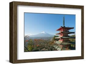 Asia, Japan, Honshu, Mt Fuji 3776M, Arakura Sengen Jinja, UNESCO World Heritage Site-Christian Kober-Framed Photographic Print