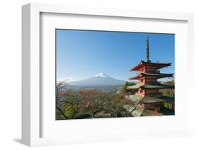 Asia, Japan, Honshu, Mt Fuji 3776M, Arakura Sengen Jinja, UNESCO World Heritage Site-Christian Kober-Framed Photographic Print