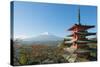 Asia, Japan, Honshu, Mt Fuji 3776M, Arakura Sengen Jinja, UNESCO World Heritage Site-Christian Kober-Stretched Canvas