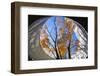 Asia, Japan, Honshu, Yokohama, Autumn Trees-Christian Kober-Framed Photographic Print