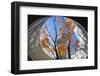 Asia, Japan, Honshu, Yokohama, Autumn Trees-Christian Kober-Framed Photographic Print