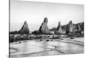 Asia, Japan, Kushimoto. View of Hashigui-Iwa Rocks on Ocean Shore-Dennis Flaherty-Stretched Canvas