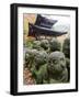 Asia, Japan; Kyoto, Sagano, Arashiyama, Otagi Nenbutsu Dera Temple, Stone Images-Christian Kober-Framed Photographic Print