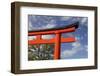 Asia, Japan, Kyoto. Torii Gate at Fushimi-Inari-Taisha Shinto Shrine.-Jaynes Gallery-Framed Photographic Print