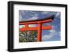 Asia, Japan, Kyoto. Torii Gate at Fushimi-Inari-Taisha Shinto Shrine.-Jaynes Gallery-Framed Photographic Print